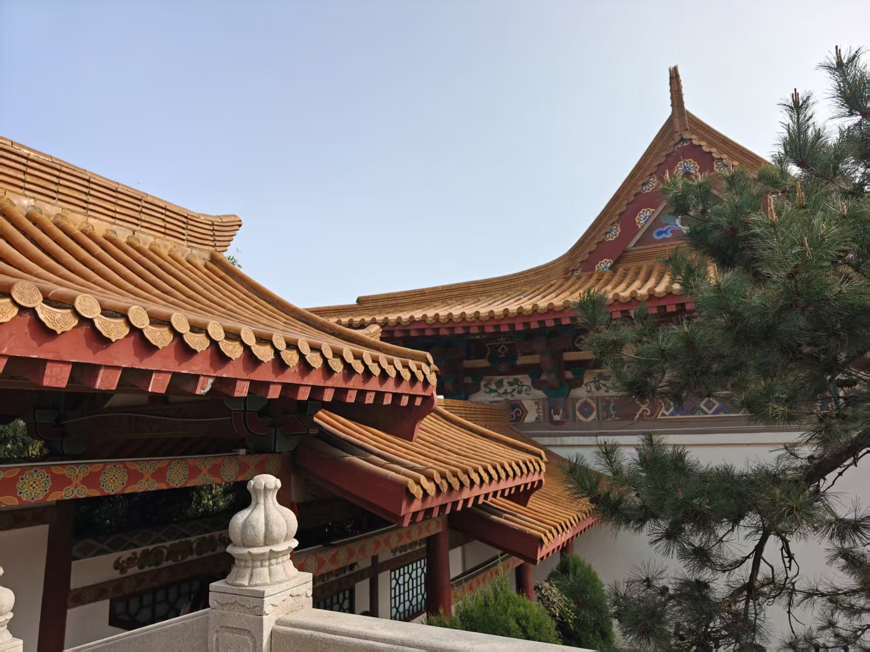 多层黄色琉璃瓦飞檐,朱红木构与彩绘,前景石栏和舒展的松枝,蓝天背景